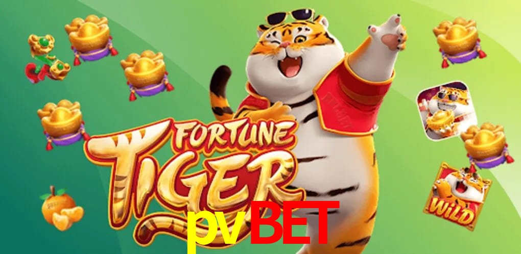 Statistics pvbet